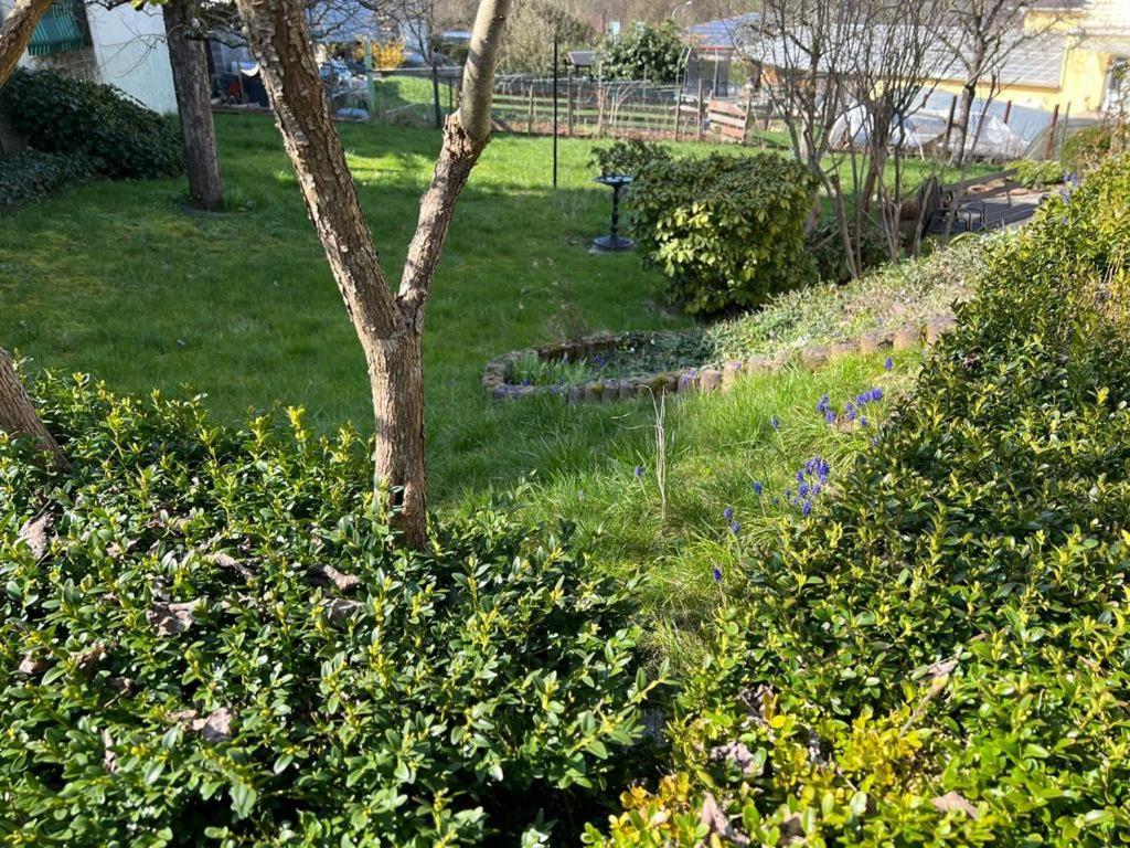 Ferien- Und Monteurwohnung Zum Waldblick Bagian luar foto