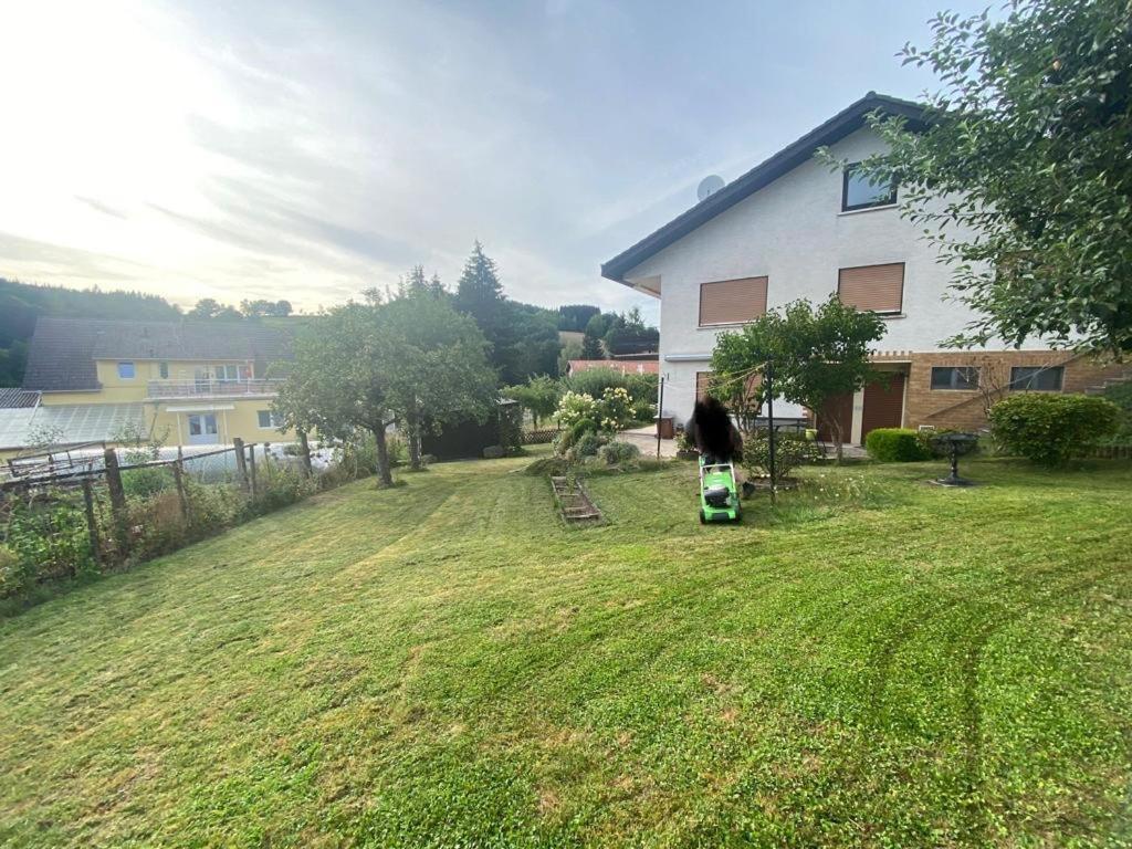 Ferien- Und Monteurwohnung Zum Waldblick Bagian luar foto